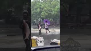 😄😄அடேய் என்னடா மீன் லா புடிக்கிரீங்க 🤣😆😁😄Chennai Floods - சென்னை புயல் #shorts #tamil