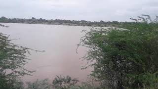 Bheema River overflow at Rajwal village, Tq: Jewargi, Dist: Kalaburgi.