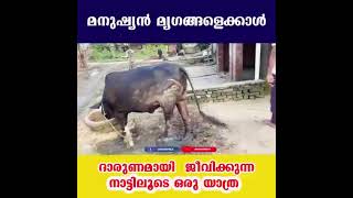 സംഘികളുടെ സ്വർഗം ആയ UP യിലെ സാധാരണക്കാരന്റെ ജീവിത സാഹചര്യം വിശദീകരിക്കുന്ന ഒരു train യാത്ര...