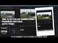 Premiere Pro 2022 - One Click Color Correction - Auto Tone