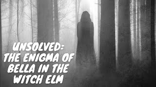 Unlocking the Enigma: Bella in the Witch Elm Unsolved