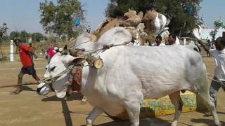 Boreddy Obulareddy