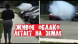 ОБЛАКО УПАЛО С НЕБА НА ЗЕМЛЮ / Как Такое Возможно?