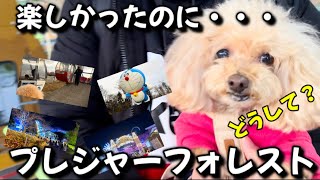 どうして！？楽しみにしてたのがなくて怒る愛犬【さがみ湖プレジャーフォレスト】【犬と行ける遊園地】【トイプードル】