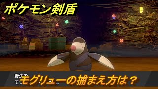 ポケモン剣盾　モグリューの出現場所は？オススメの場所は？天気は？ポケモン図鑑コンプへの道！　最新版【ポケモンソード・シールド】