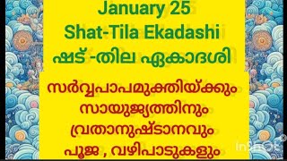 ഷട് -തില ഏകാദശി വ്രതവും വഴിപാടും എങനെ ചെയ്യാം l Shat-Tila Ekadasi l #ekadasi #krishna  #shattila