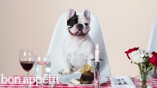 Manny the Frenchie and a Lucky Rescue Pup Indulge in a 4-Star Meal