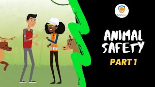 Animal Safety (Part 1) - SafetyKay