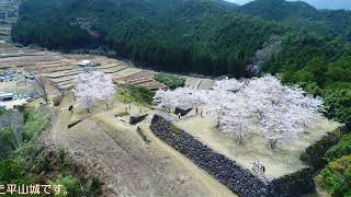 春の山城空撮「赤木城址」(ドローン空撮　4k画像)