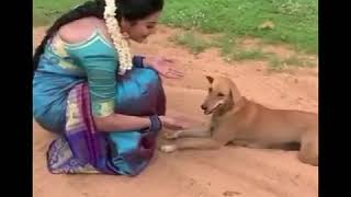 Vj chitra playing with dog | vj chitra | pandiyan stores mullai | whatsapp tamil sad status | love |