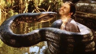 A Film Crew Is Taken Hostage by a Hunter and Forced to Capture the Largest Snake