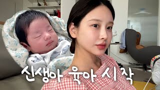 👶30세 워킹맘의 본격 애둘,개둘 육아👶🏻👶🏻➕🐶🐶ㅣ🍼😴💩 반복ㅣ청소는 장비빨(feat.다이슨 내돈내산)ㅣ인테리어 했어요 레트로 화장실 공개 🚪(마지막 리모델링..이길 바라며..)