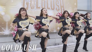 GOLD LUSH チア・パフォーマンス