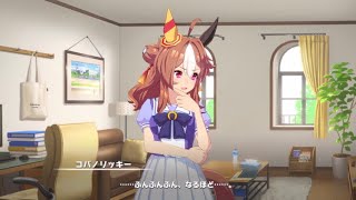 【ウマ娘】コパノリッキーの風水チェック！！