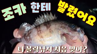 방파제에서 이렇게 큰 사이즈가 나오다니/발판 좋은 방파제 볼락낚시