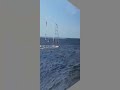 fanatic eagle 113 6.6 8.8 sail hel poland