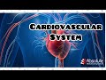 Cardiovascular system CPT Medical Coding for the CPC and CCS Exams - Re-released