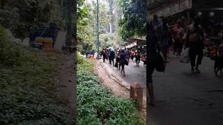 சபரி காடு வீரமணிதாசன் ஐயப்ப சாமி பாடல்கள் #sabarimala #forest #yatra