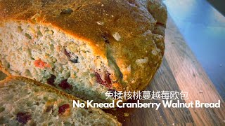 Easy No Knead Cranberry Walnut Bread|Dutch Oven | Vegan Whole Wheat bread | 简单全麦素食核桃蔓越莓欧包|免揉无油无糖|铸铁锅