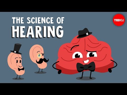 What is an auditory person?