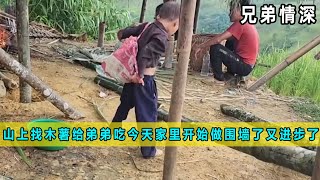 小凯去山上找木薯，给弟弟吃，今天家里开始做围墙了，又进了一步《兄弟情深04》