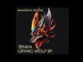 Tenka Ft. Nasdee - Morning Glory