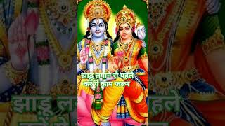 झाड़ू लगाने से पहले करें ये काम #jaimaalakshmi #lakshmimaa #astrology #matalakshmi