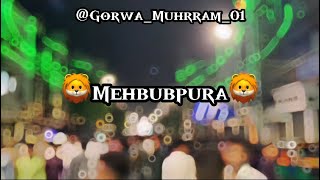 Mehbubpura,navapura muharram 🔥Vadodara #video #muharram #explorepage #vadodara #muslim #yahusain 🦁