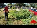 even the neighbors told us to be careful with this extremely overgrown yard big transformation