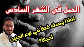 الحمل في الشهر السادس (ولماذا يعتبر هذا الشهر نجاة للجنين؟ ) ولماذا يحدث خطأ  أحيانا في نوع الجنين؟