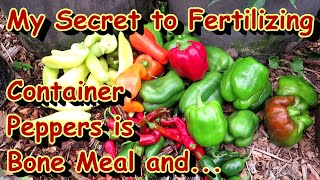 My Method to Preparing Containers for Growing Pepper Plants: Really Load in Slow Release Fertilizers