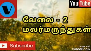 வேலை தொடர்பான இன்னும் சில குறிப்புகள் - மலர்மருந்துகள் தமிழில்