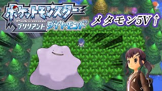 【ポケモンダイパリメイク】メタモン5V↑を求めて【ポケットモンスター】