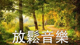 非常好聽👍【2小时】早上最適合聽的輕音樂🎧 超好听的钢琴曲 - 清晨鳥鳴聲聲滿滿正能量 - 放鬆解壓🎶 鋼琴曲 輕音樂- 純鋼琴輕音樂 - 放鬆音樂 🎶Relaxing Piano Music👍123