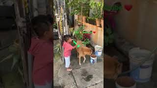 Baby playing with Dog 🐕 #shorts #100 #trending