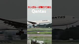 ✈️Qantas Airways Airbus A330 landing #成田空港 #qantas #鳥かご #shorts