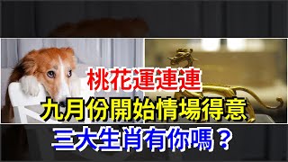 桃花運連連，九月份開始情場得意，三大生肖有你嗎？，[星座運勢大全]