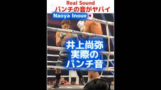 【実際の音】井上尚弥のパンチ音がヤバイ Naoya Inoue