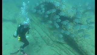 3/22/2020 Diving ARC reef Fort Myers Fl.