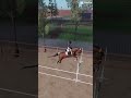 Some free jumping🐎 #horsesaremylife #horse #foryou #equestrian #strideway #roblox