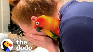 Parrot Micromanages Every Single Thing Mom Does | The Dodo