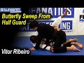 Butterfly Sweep From Half Guard by Vitor 