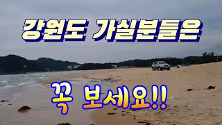 강원도 투망가시는분들은 참고하세요 cast net fishing