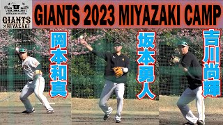 １塁目線から見るこのメンバーのノックはたまらない！岡本和真　坂本勇人　吉川尚輝　サブグラウンド　ノック　守備練習　【巨人　宮崎１軍キャンプ最終日】2023.2.14　読売ジャイアンツ　プロ野球ニュース