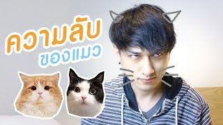 Theycallmemeaow | ความลับของแมวที่คุณอาจยังไม่รู้