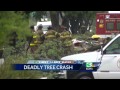 Tree falls on car, killing driver