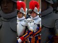 The Swiss Guard’s Last Stand