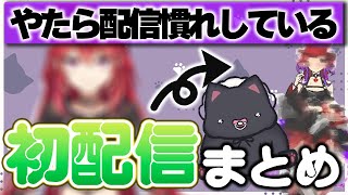 なぜか聞き覚えのある声...？濃すぎた初配信まとめ【なにぬねこ切り抜き】