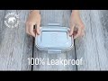 clip u0026 seal 4 leakproof lunchbox demo