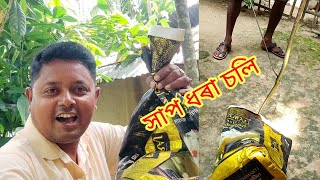 বাপৰে, কি সাংঘাতিক চলি। সাপ চাপ ধৰিবলৈ অলপো ভয়ে নকৰে।